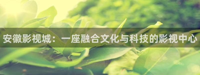 可可影视网页