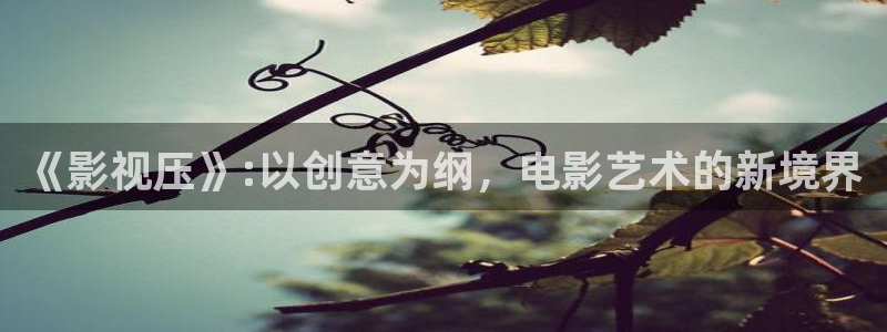 可可影视在线观看