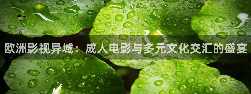 可可影视apk